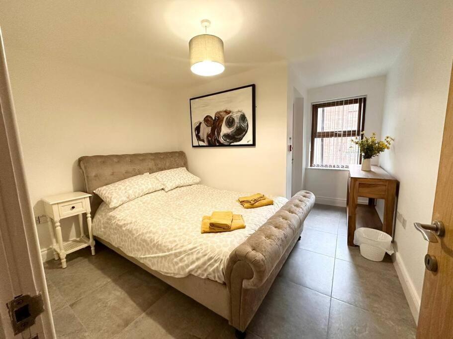 Boutique Style Apartment 贝尔法斯特 外观 照片